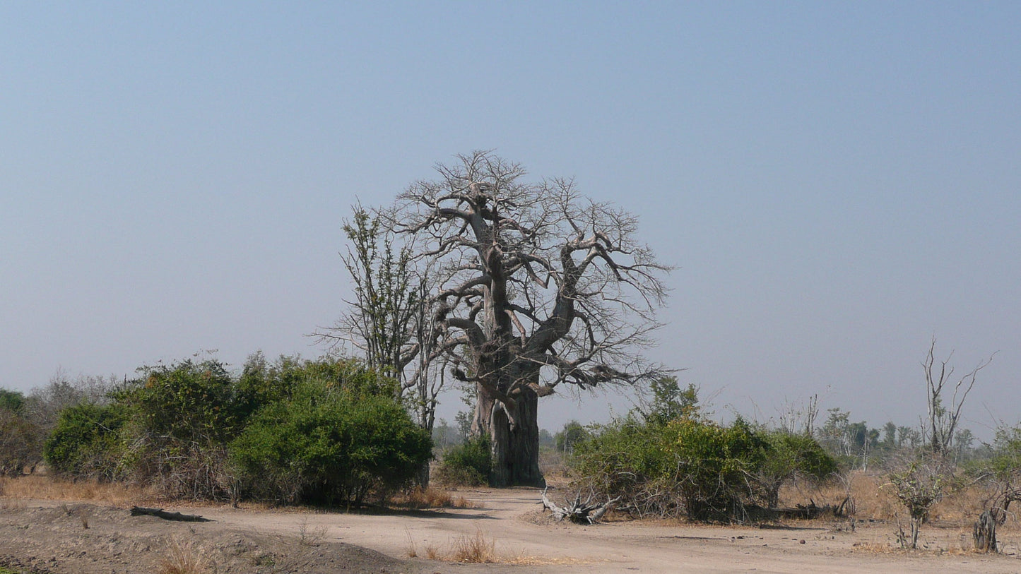 Zambia eSIM