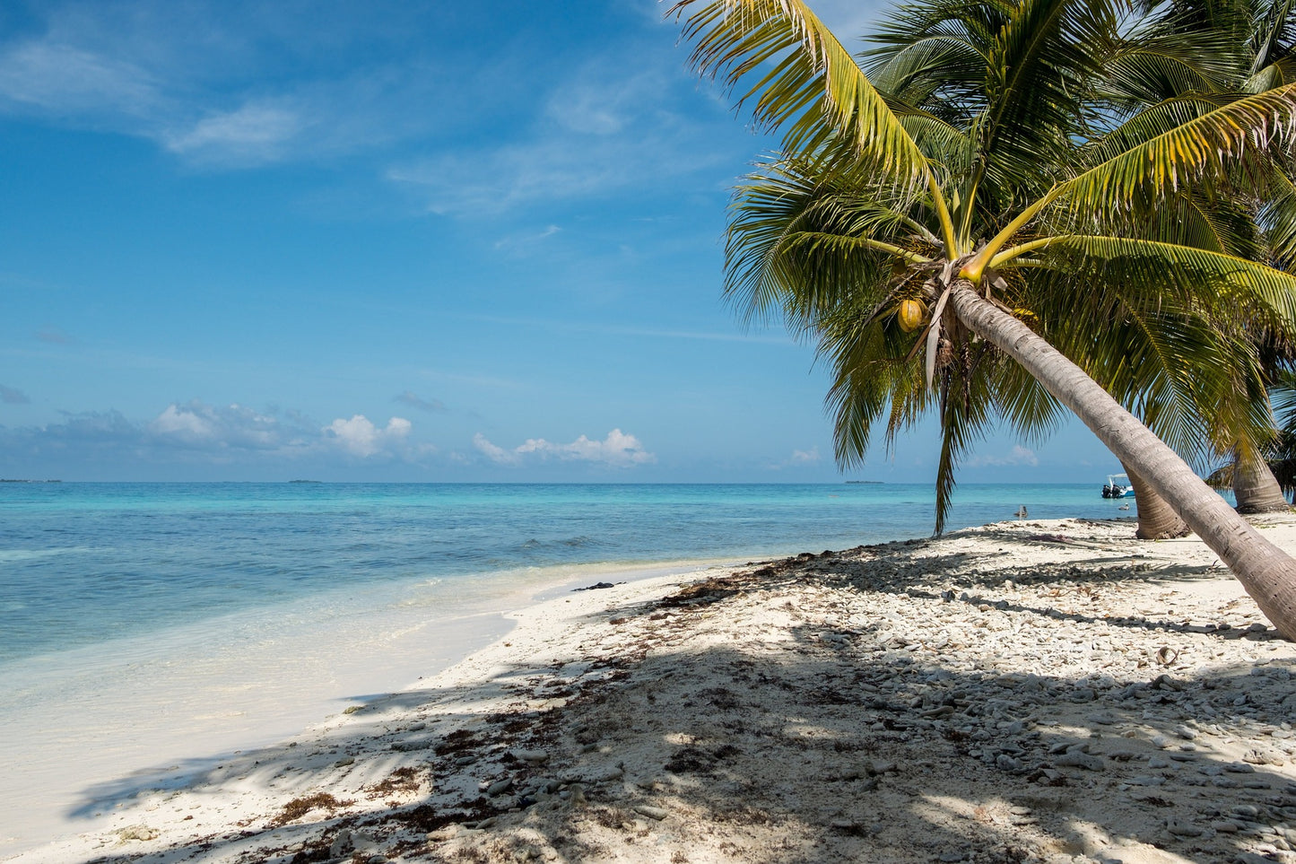 Belize eSIM - Roamic