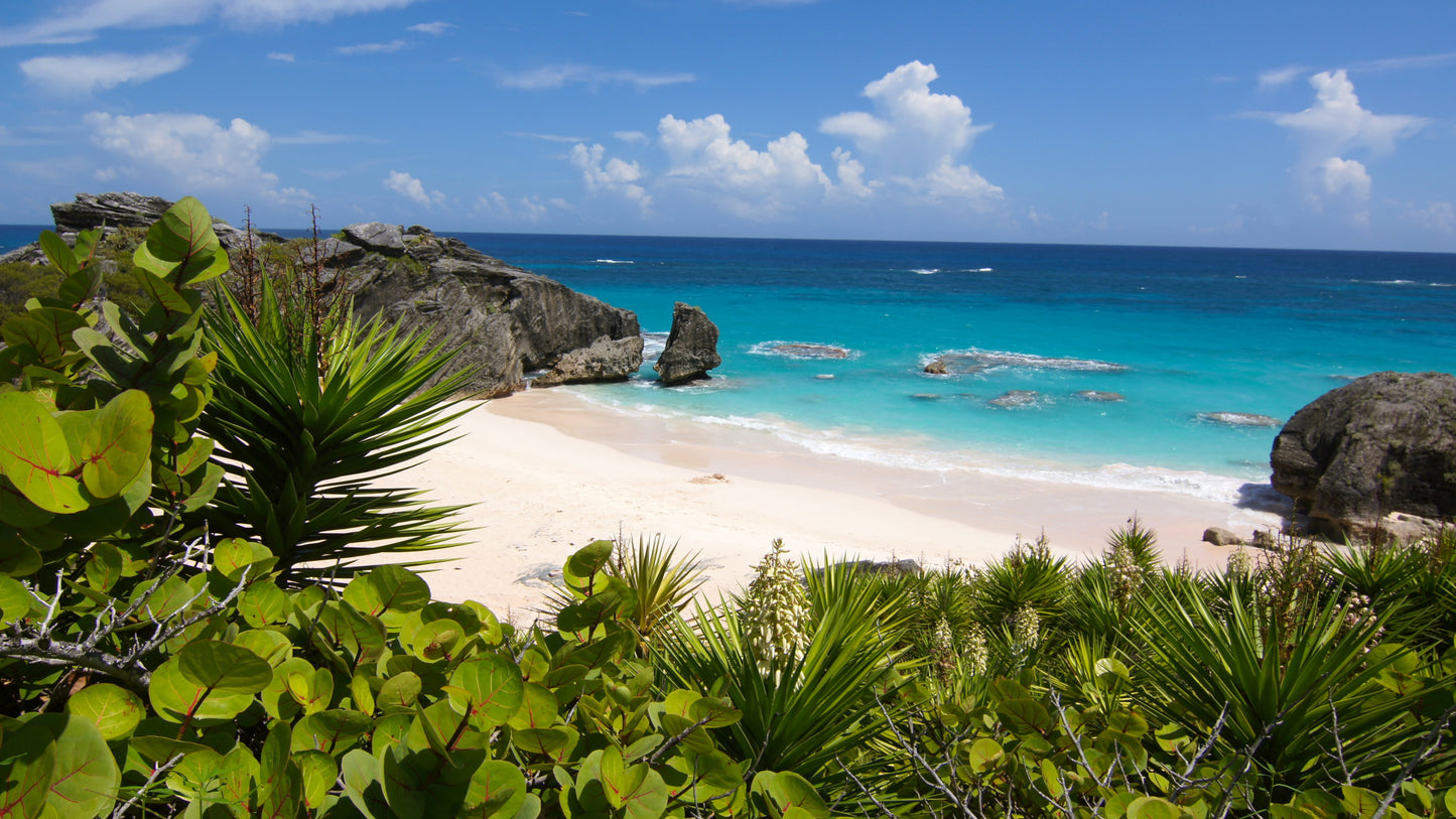 Bermuda eSIM