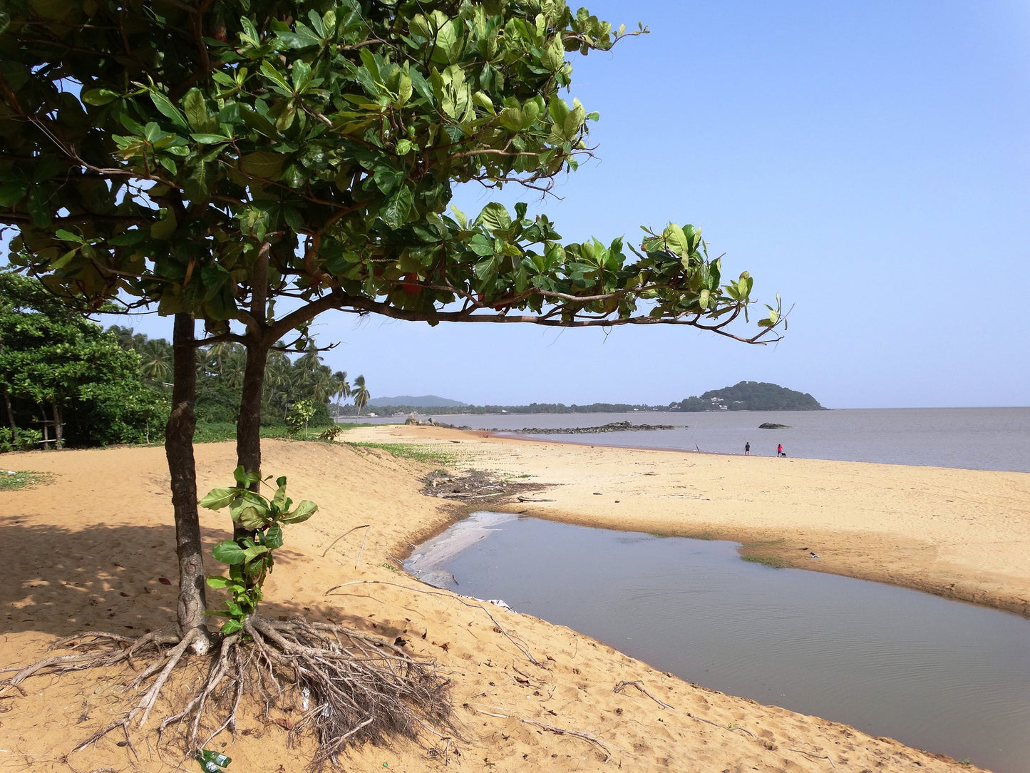 French Guiana eSIM - Roamic