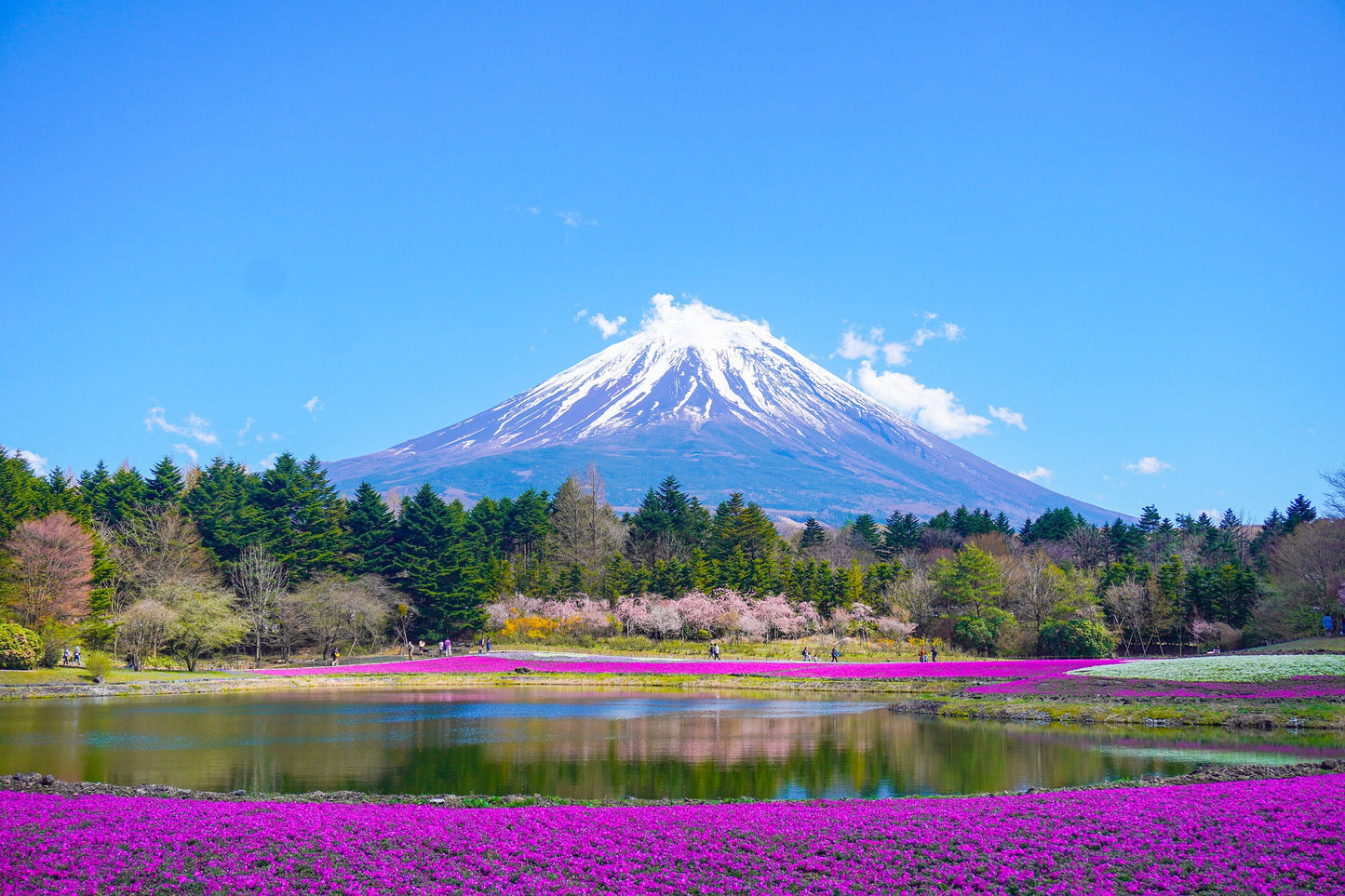 Japan eSIM - Roamic