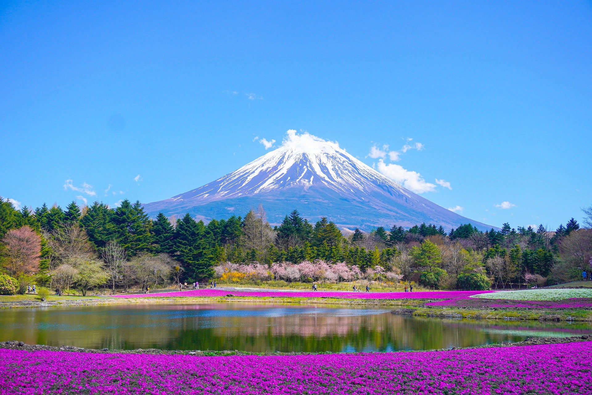 Japan eSIM - Roamic