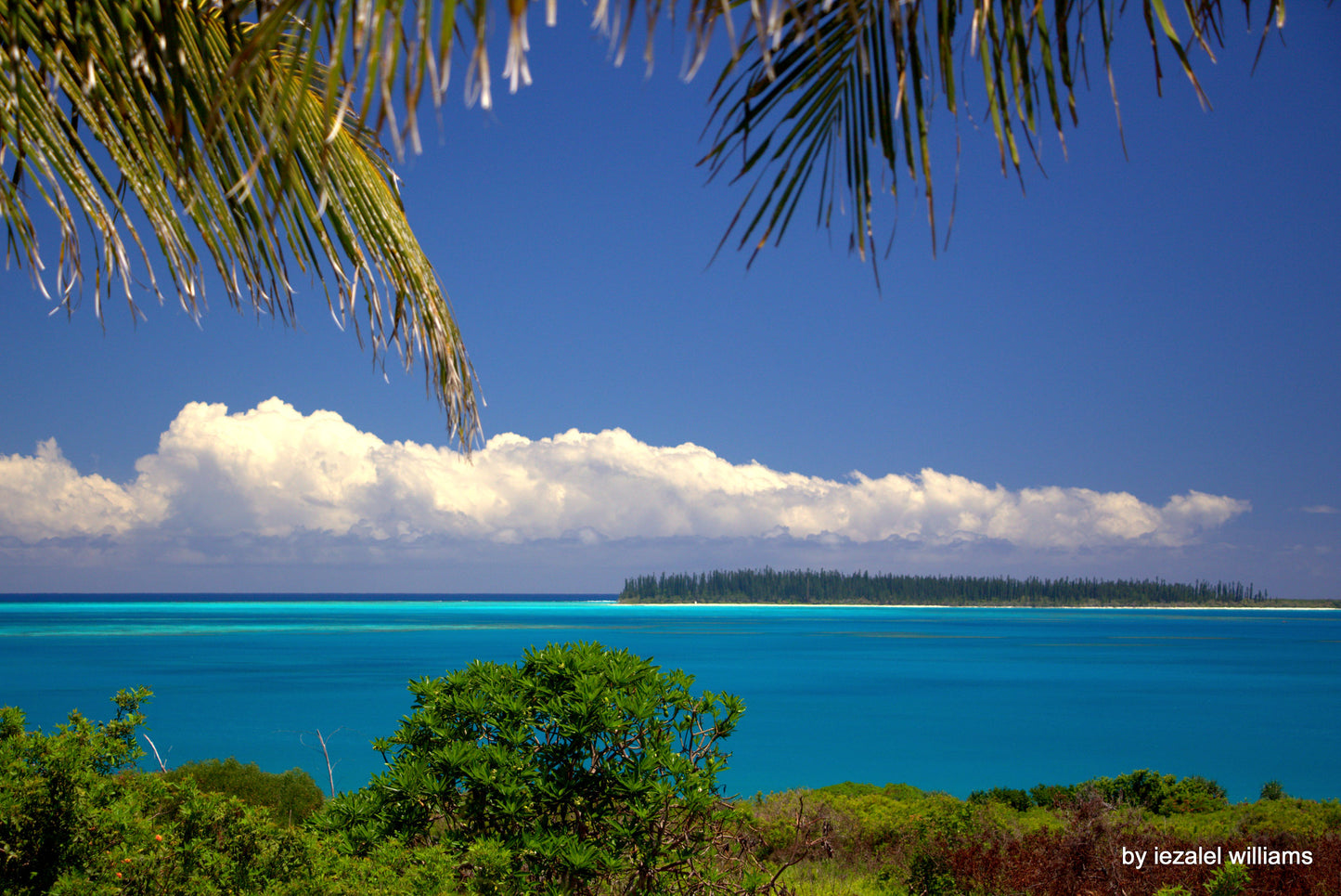New Caledonia eSIM