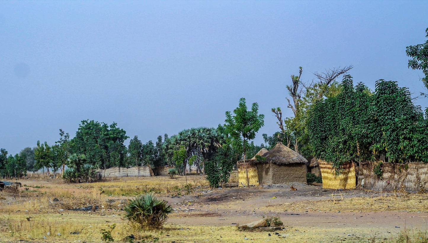 Nigeria eSIM - Roamic