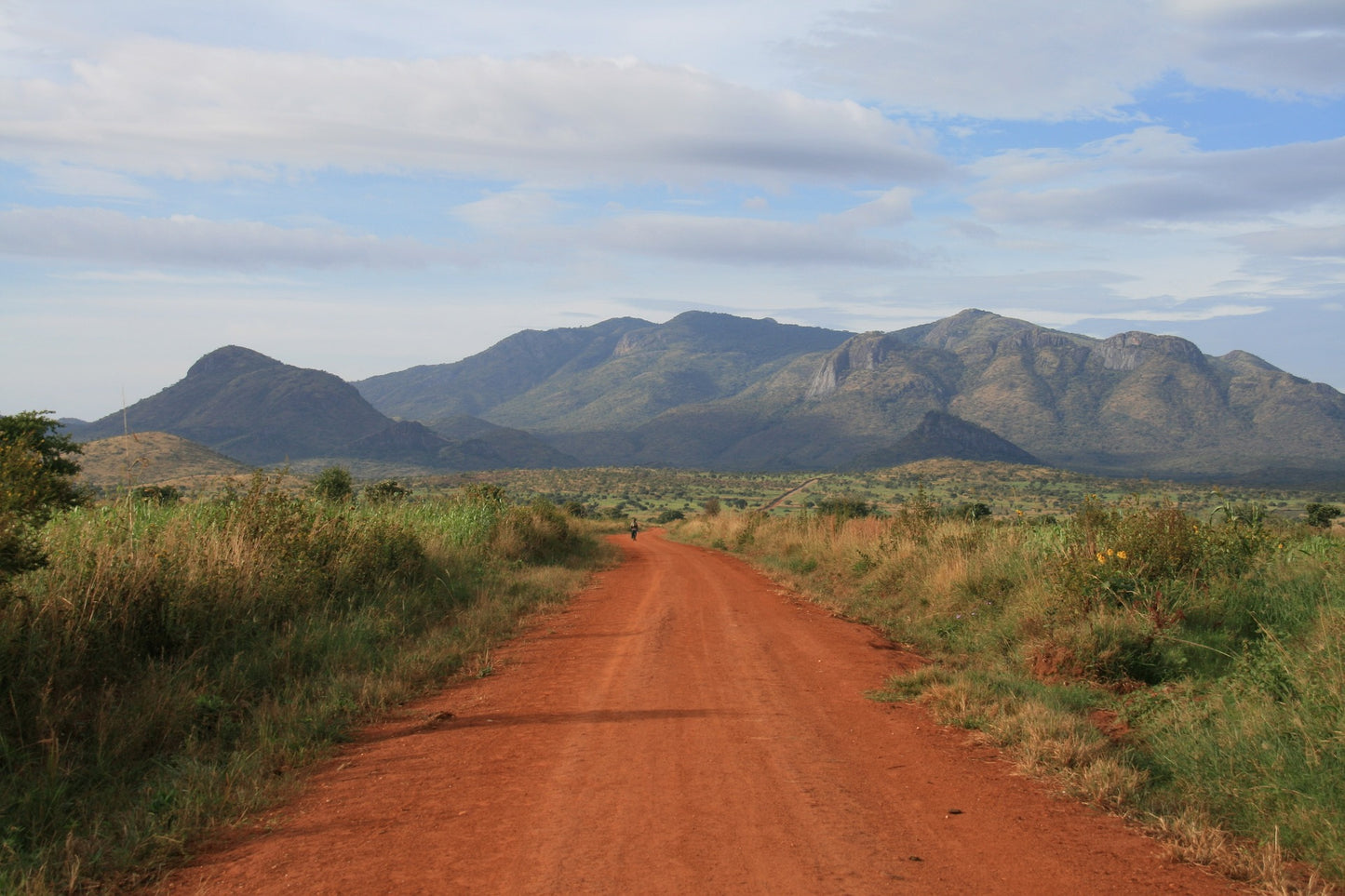 Uganda eSIM - Roamic