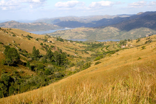 Swaziland eSIM