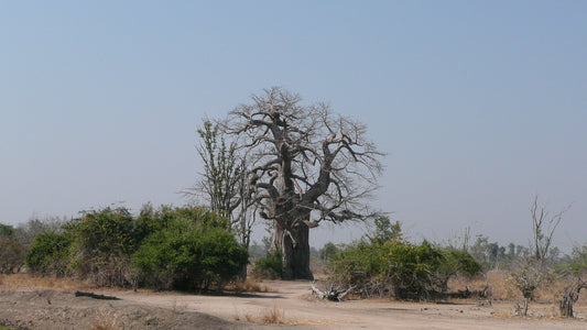 Zambia eSIM
