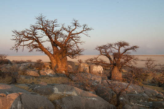 Botswana eSIM