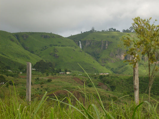 Cameroon eSIM