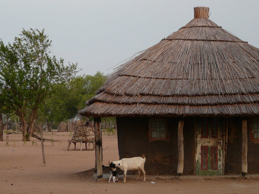 Mozambique eSIM